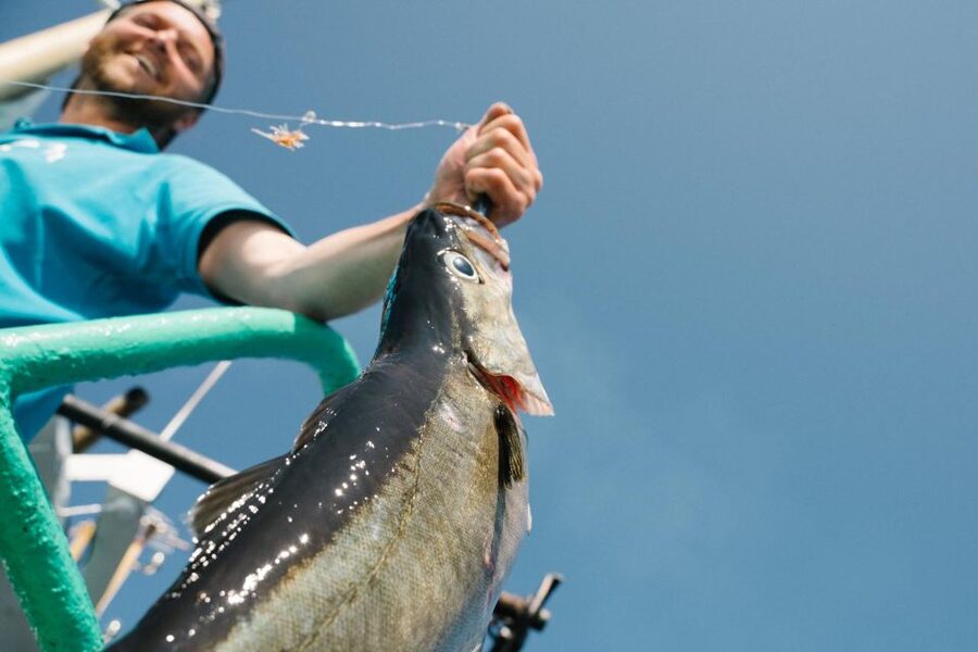 From Svolvaer: Lofoten Fishing Boat Cruise - Quick Hits Before You Go