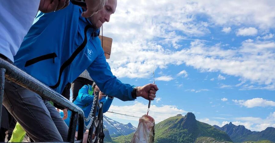 From Svolvaer: Lofoten Fishing Boat Cruise - A Svolvær Fishing Trip That Feels Like Work, in the Best Way