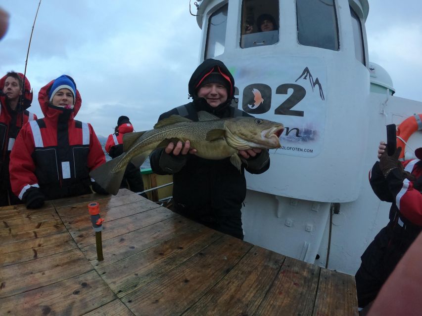 From Svolvaer: Lofoten Fishing Boat Cruise - Price and Value: Is $135 a Good Deal?