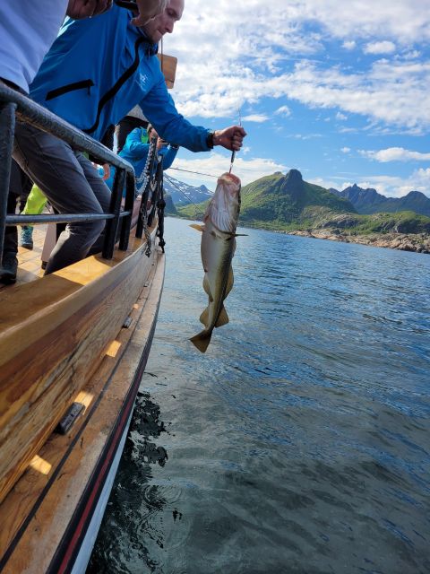 From Svolvaer: Lofoten Fishing Boat Cruise - The 4-Hour Flow, From Registration to Seabird Feeding