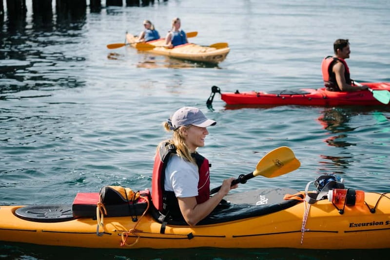 From Svolvær: Lofoten Guided Kayak Experience - What Happens on the Water in Those 2 Hours