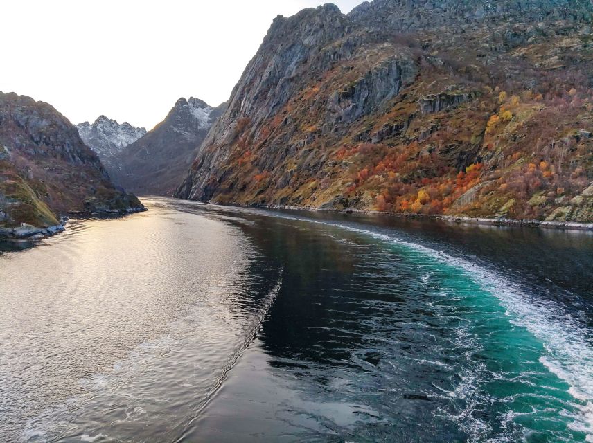 From Svolvær: Lofoten Islands Silent Trollfjord Cruise - Key Highlights Before You Go