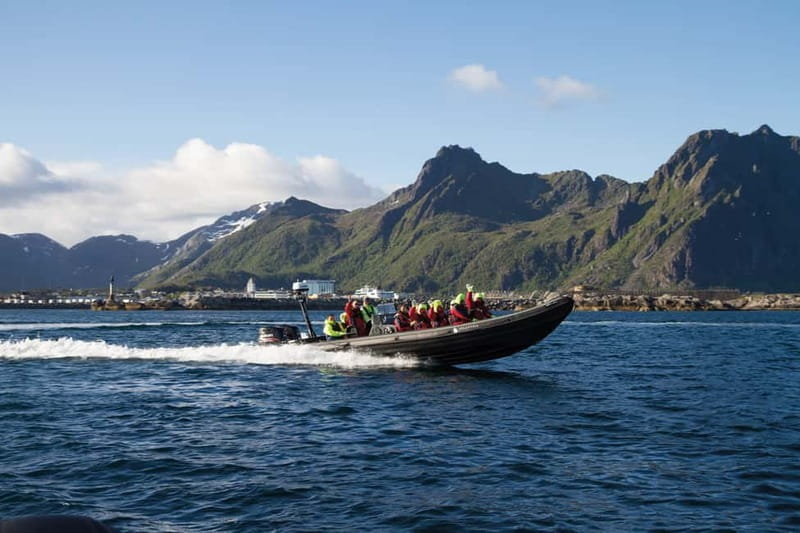 From Svolvær: Lofoten RIB Sea Eagle Safari Trollfjord Cruise - Svolvær and Trollfjord by RIB, why this format works for wildlife