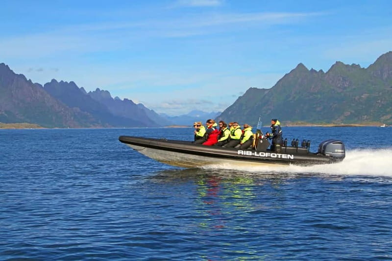 From Svolvær: Lofoten RIB Sea Eagle Safari Trollfjord Cruise - The 2-hour flow: safety, high-speed cruising, fjord viewpoints, and eagle time