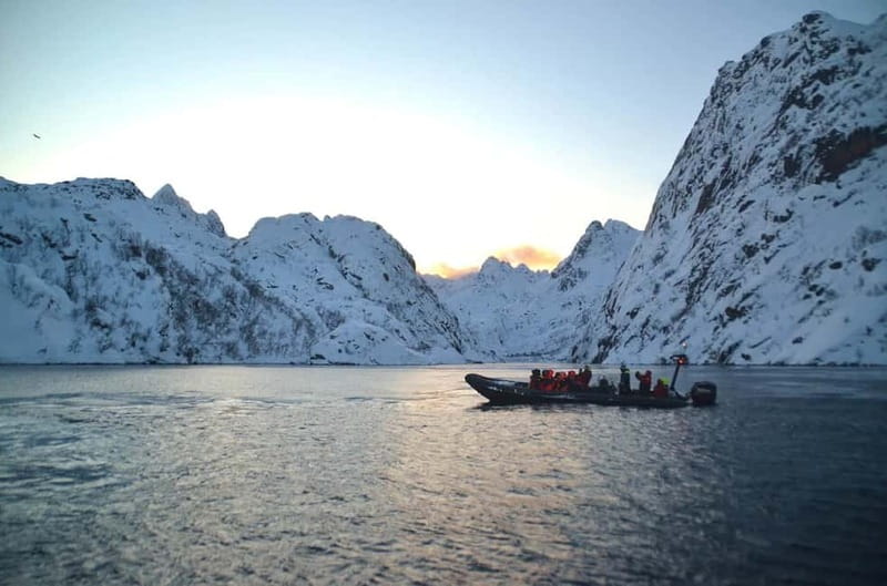 From Svolvær: Lofoten RIB Sea Eagle Safari Trollfjord Cruise - Price and value at about $125 for 2 hours on the water