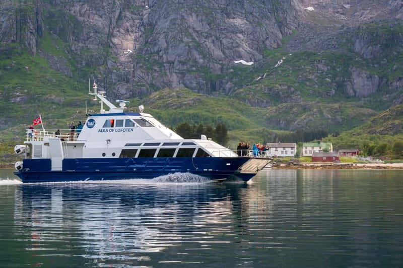 From Svolvær: Lofoten Trollfjord Cruise & Sea Eagle Safari - Small rule details that affect your day at sea