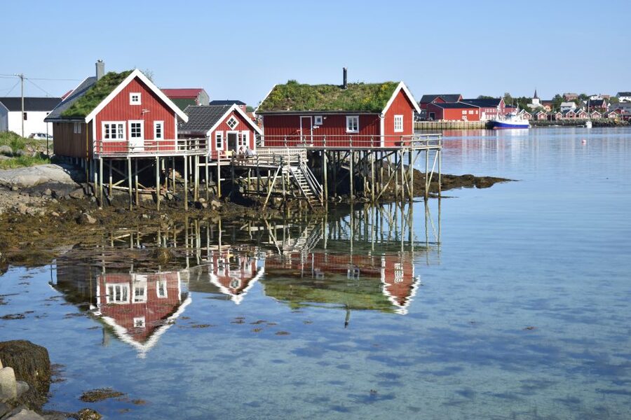 From Svolvaer: Private Lofoten Islands Tour with Transfer - Key highlights you will feel in your day