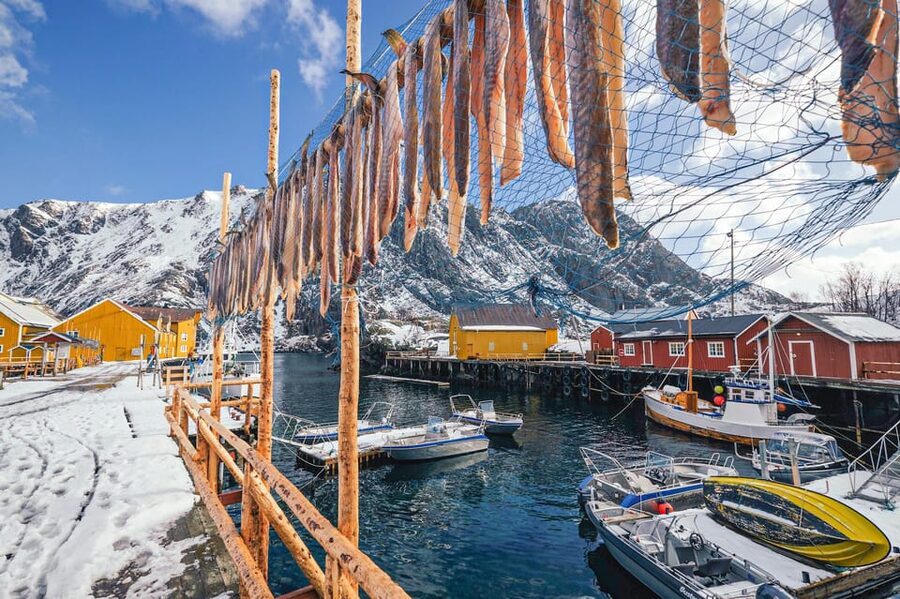 From Svolvær: Reine & Å Lofoten West Island Full Day Tour - Å i Lofoten: Getting to the End of the Road and the Fisheries Museum
