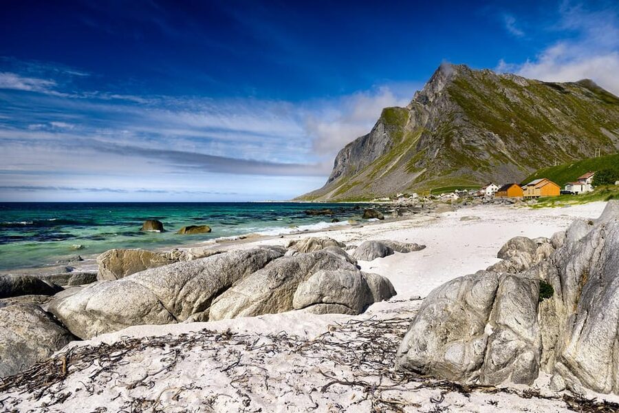 From Svolvær: Reine & Å Lofoten West Island Full Day Tour - Price and What You Actually Get for $294 Per Person