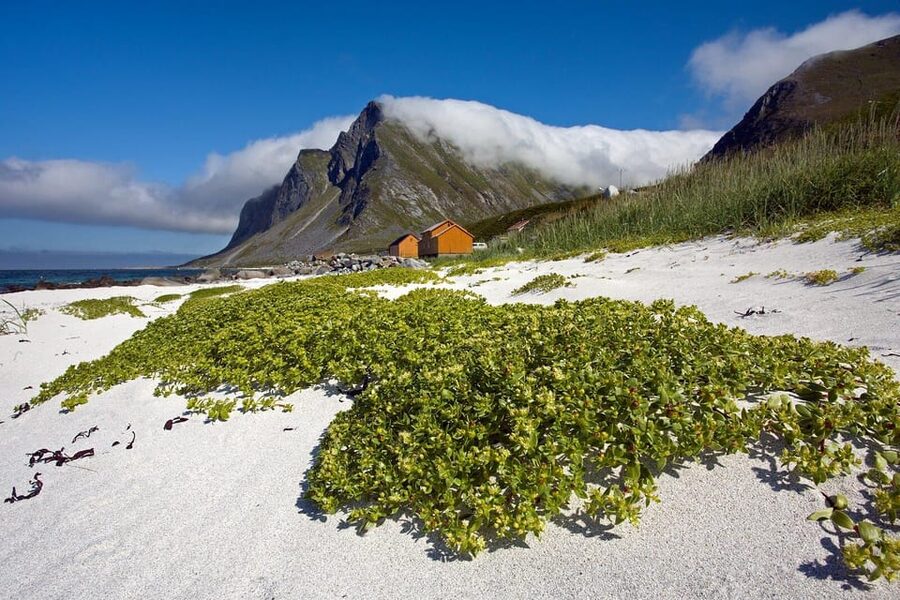 From Svolvær: Reine & Å Lofoten West Island Full Day Tour - Weather and Timing Tips for Better Photos at Every Stop