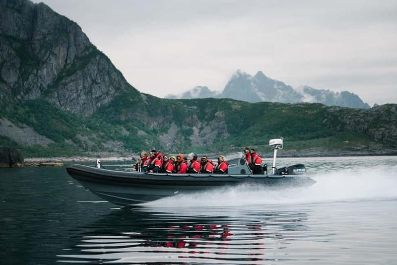 From Svolvær: RIB Boat Lofoten Trollfjord Sea Eagle Safari - Key highlights worth planning for