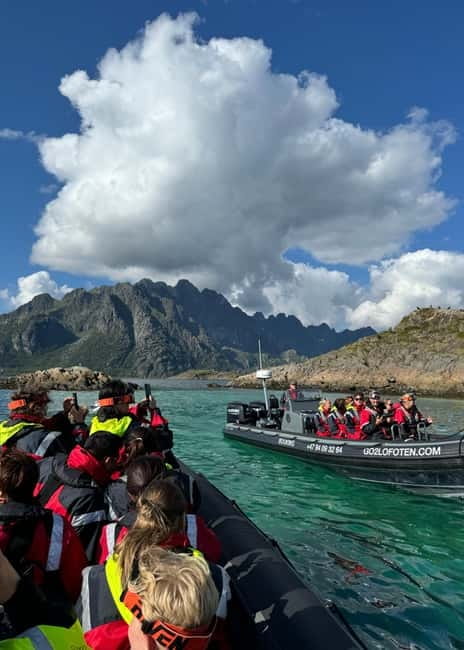 From Svolvær: RIB Boat Lofoten Trollfjord Sea Eagle Safari - Raftsundet: the sea eagle highway for real feeding moments