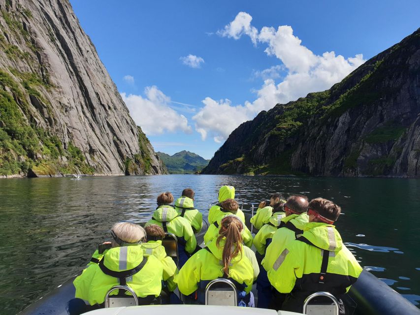 From Svolvaer: Trollfjorden Wildlife RIB Cruise - Why Trollfjord by RIB beats a shore viewpoint