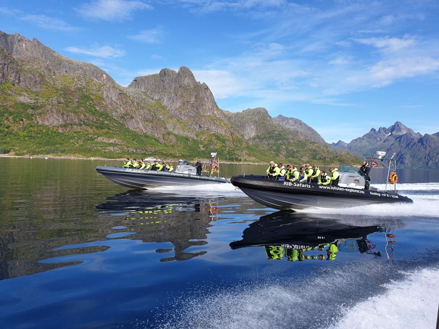 From Svolvaer: Trollfjorden Wildlife RIB Cruise - Øyhellsundet to Trollfjord: what the route does for your eyes