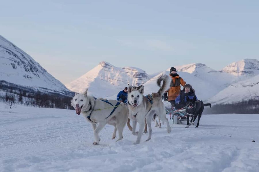 From Tromsø: Advanced Dog Sledding Daytime & Snow Park Visit - From Tromsø to Tamok Valley: a long winter day with real payoff