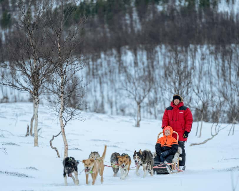 From Tromsø: Advanced Dog Sledding Daytime & Snow Park Visit - The two-person sled system: how switching roles changes everything