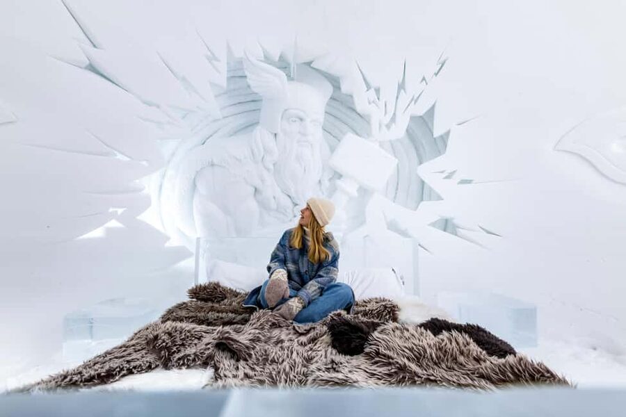 From Tromsø: Advanced Dog Sledding Daytime & Snow Park Visit - Price and value: why $476 can make sense for a full Arctic day
