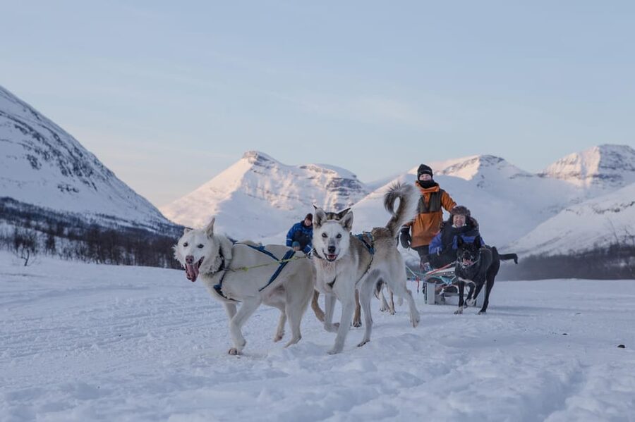 From Tromsø: Advanced Dog Sledding Tour at Camp Tamok - Why Advanced Sledding at Camp Tamok Feels Different Than the Usual Arctic Ride