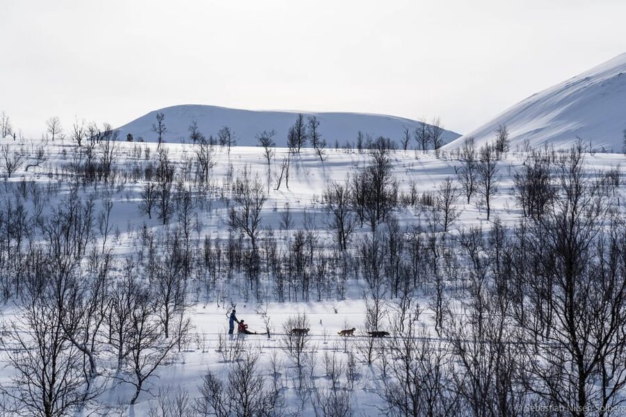 From Tromsø: Advanced Dog Sledding Tour at Camp Tamok - Key Things That Make This Tour Worth Your Time