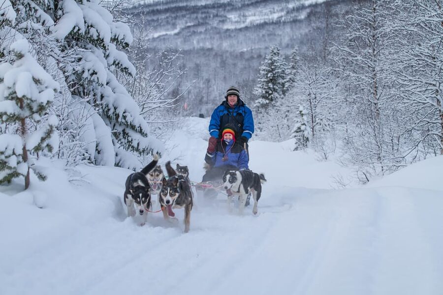 From Tromsø: Advanced Dog Sledding Tour at Camp Tamok - The Self-Drive Format: Two People Per Sled and Role Switching Halfway