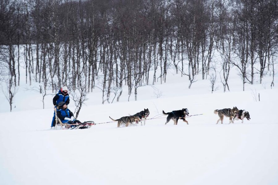 From Tromsø: Advanced Dog Sledding Tour at Camp Tamok - The Advanced Track Reality: Uphills, Balance, and Helping the Dogs Push