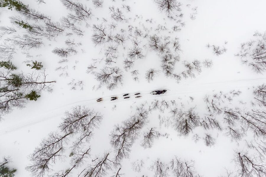 From Tromsø: Advanced Dog Sledding Tour at Camp Tamok - Warm Up in the Sámi lávvu: Meal, Drinks, and Time to Recover