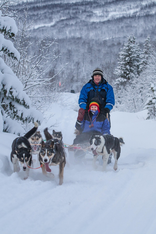 From Tromsø: Advanced Dog Sledding Tour at Camp Tamok - Price and Value: What You Get for Around $313