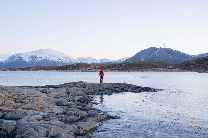 From Tromsø: Arctic Roadtrip: fjords tour with scenic picnic - Guides and the photo service: why this day feels “easy”