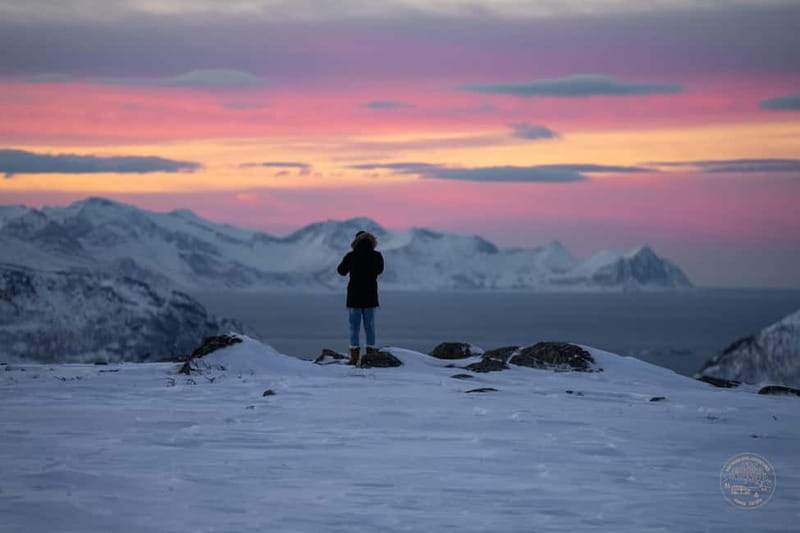 From Tromsø: Arctic Roadtrip: fjords tour with scenic picnic - Who should book this Arctic fjords tour with scenic picnic