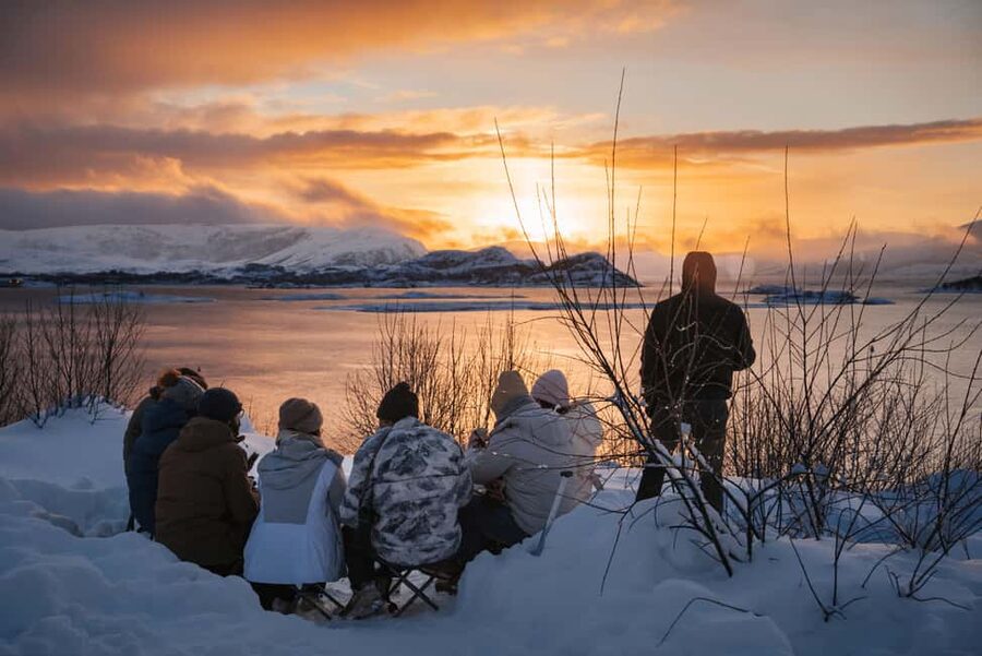 From Tromsø: Arctic Roadtrip Small Group 4x4 Van - Key highlights to know before you book