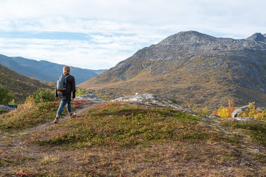 From Tromsø: Arctic Roadtrip Small Group 4x4 Van - Why this Tromsø roadtrip feels different from a standard day tour
