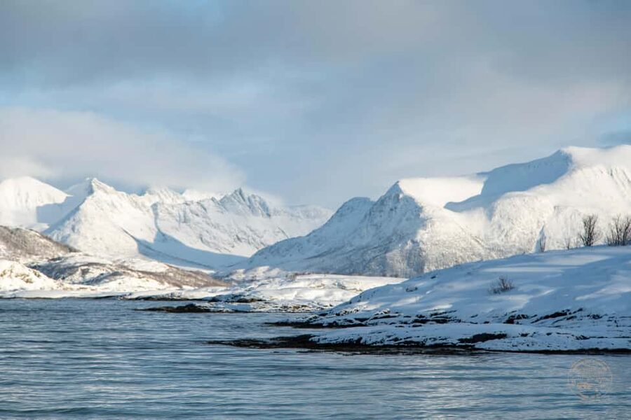 From Tromsø: Arctic Roadtrip Small Group 4x4 Van - Small-group comfort with 4x4 reality