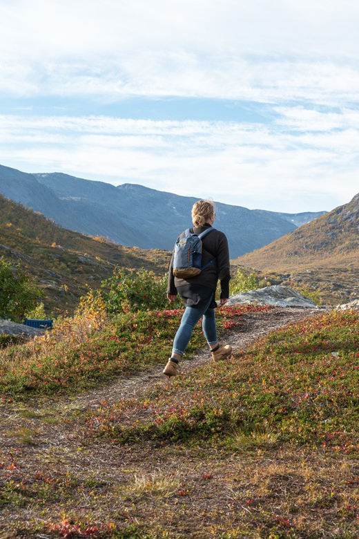 From Tromsø: Arctic Roadtrip Small Group 4x4 Van - Year-round Arctic variety: what changes in winter, autumn, spring, and summer