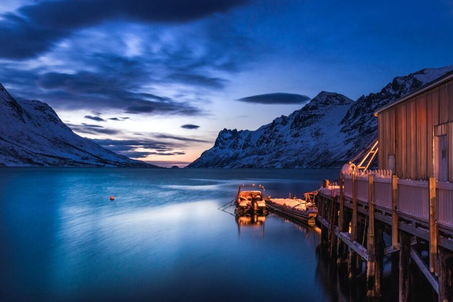 From Tromsø: Arctic Wildlife & Fjord Sightseeing Tour by Car - Key things that make this tour worth your attention