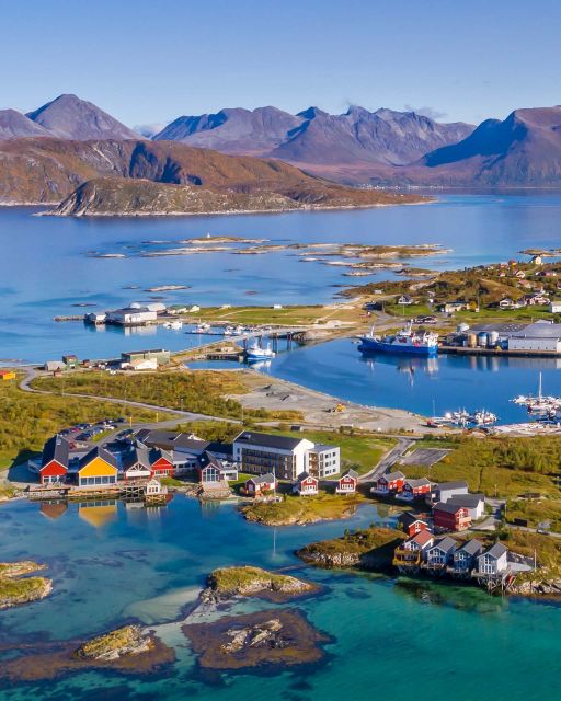 From Tromsø: Arctic Wildlife & Fjord Sightseeing Tour by Car - Straumsgården and Rystraumen, finishing with fjord views that stick