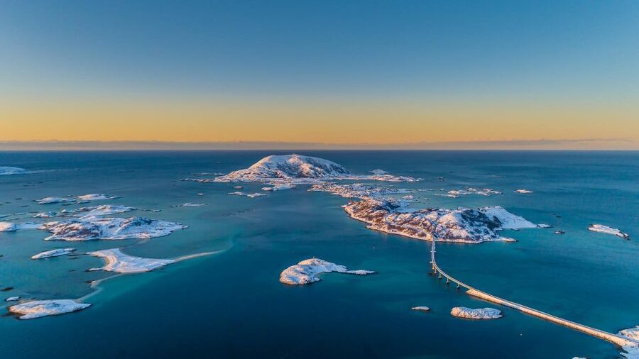 From Tromsø: Arctic Wildlife & Fjord Sightseeing Tour by Car - Arctic wildlife you might see, and the honest odds game
