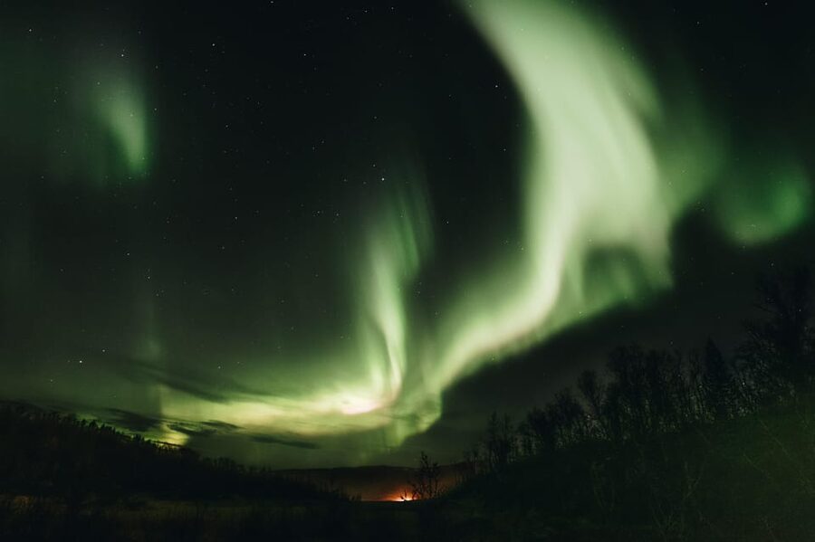 From Tromsø: Aurora Snowshoe Hike - Value for $183: Is It Worth It?