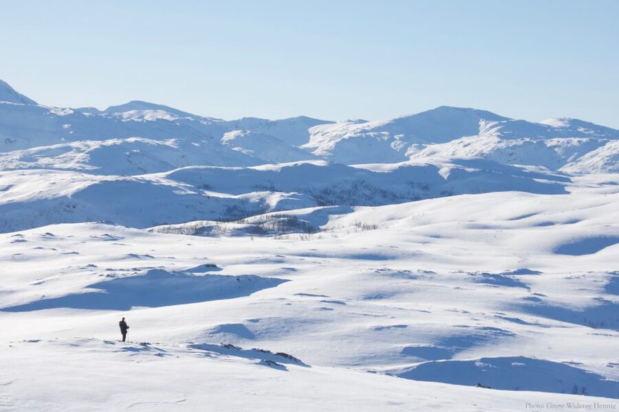From Tromsø: Daytime Snowshoe Experience with stunning views - Key things to know before you go
