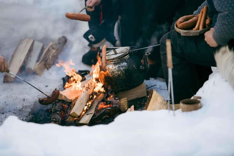 From Tromsø: Daytime Snowshoeing and Snow Park Visit - Why This Day Trip Works: Camp Tamok Snowshoes + Tromsø Ice Domes