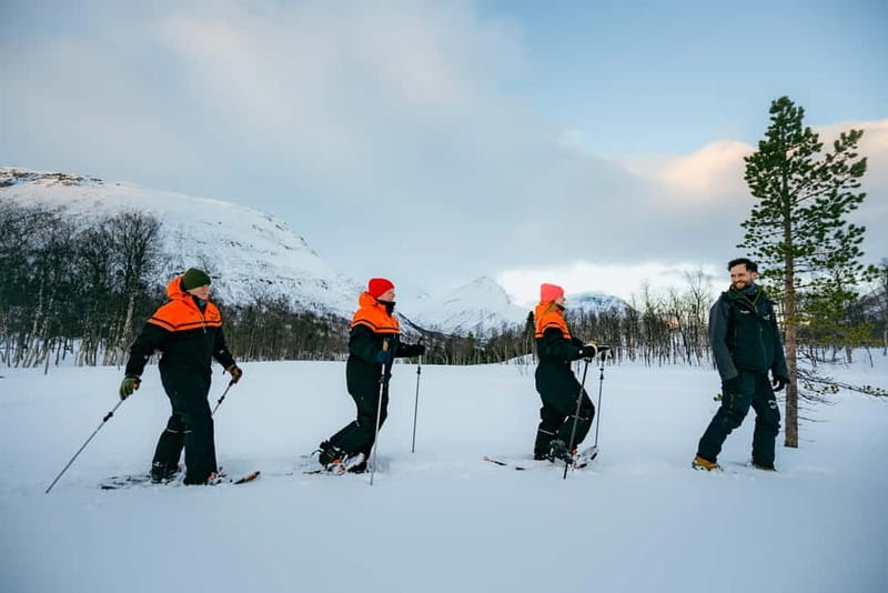 From Tromsø: Daytime Snowshoeing and Snow Park Visit - Camp Tamok Setup: Gear, Warm Welcome, and Your First Snowshoe Steps