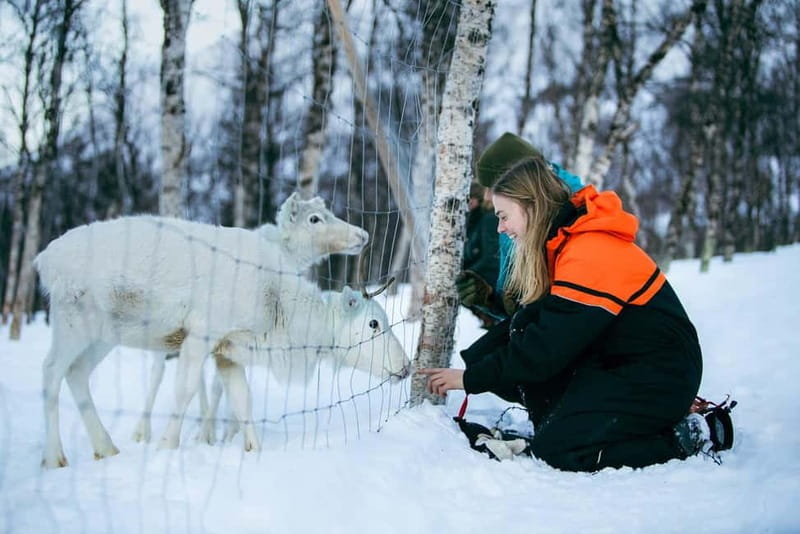From Tromsø: Daytime Snowshoeing and Snow Park Visit - The Snowshoe Hike: Slow Pace, Arctic Skills, and Mid-Walk Campfire