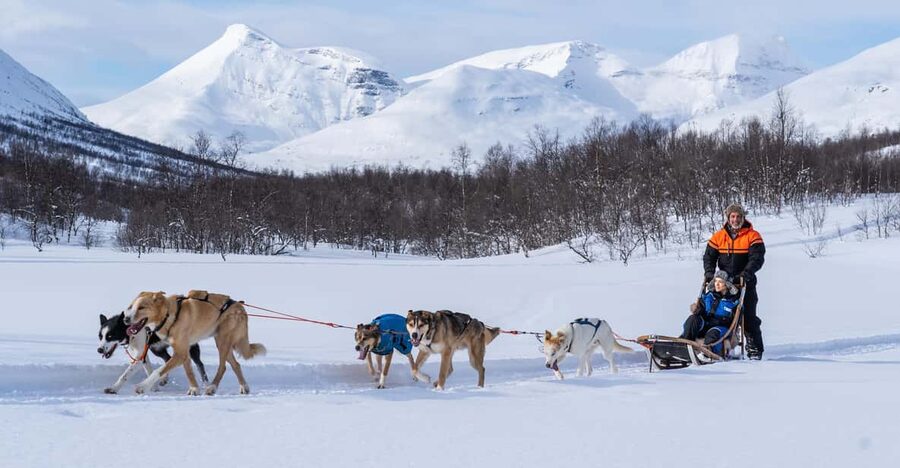 From Tromsø: Dog Sledding Adventure in Tamokdalen - Key things that make this Tamokdalen husky day work