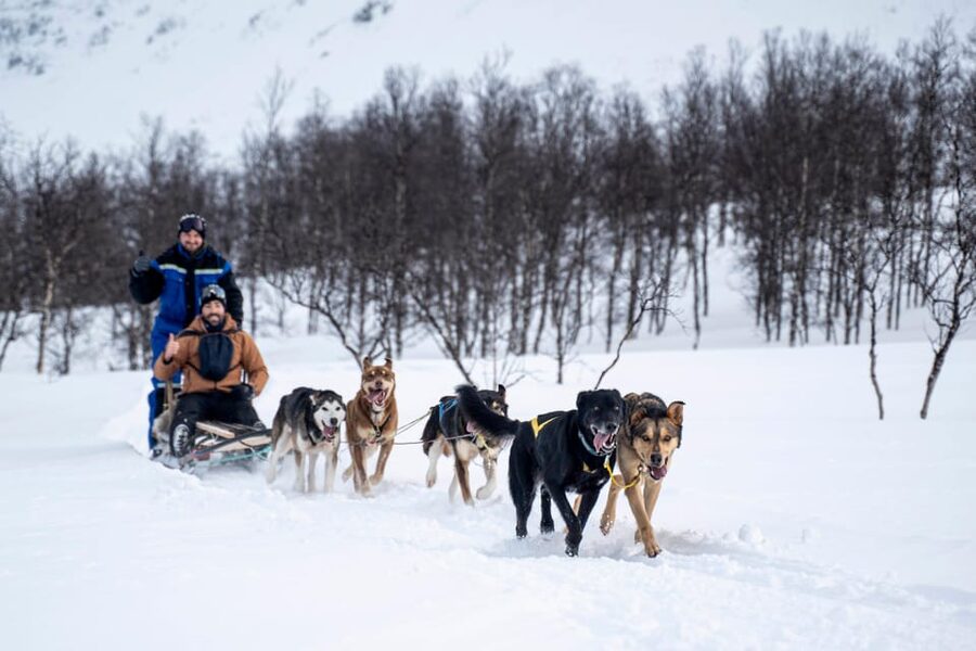 From Tromsø: Dog Sledding Adventure in Tamokdalen - Tromsø to Tamokdalen: the warm bus ride that sets expectations