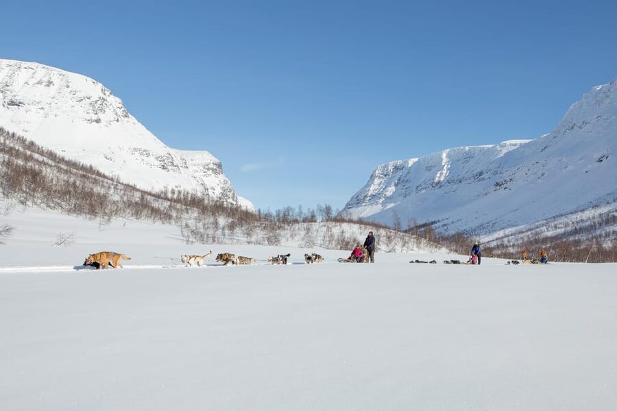 From Tromsø: Dog Sledding Adventure in Tamokdalen - Driving your own sled in Tamokdalen: the fun part, plus the reality