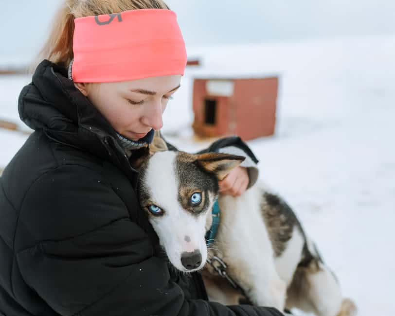 From Tromsø: Dog Sledding Experience with Transfer - At the Camp: Warm Gear, Husky Care, and a Real Intro to Mushing