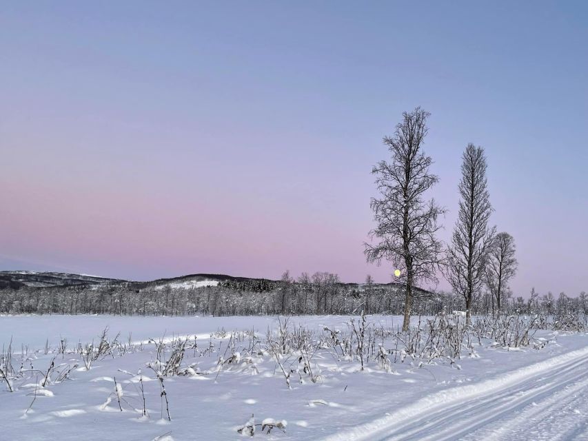 From Tromso: Eco Luxury Snowmobile Adventure to Lyngen Alps - Electric snowmobiles in the Lyngen Alps from Tromsø: the draw