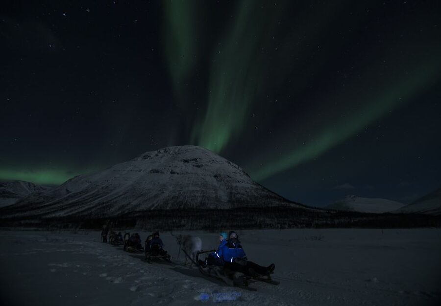 From Tromsø: Evening Reindeer Sledding at Camp Tamok - Why Camp Tamok Makes This More Than a Quick Sled Ride