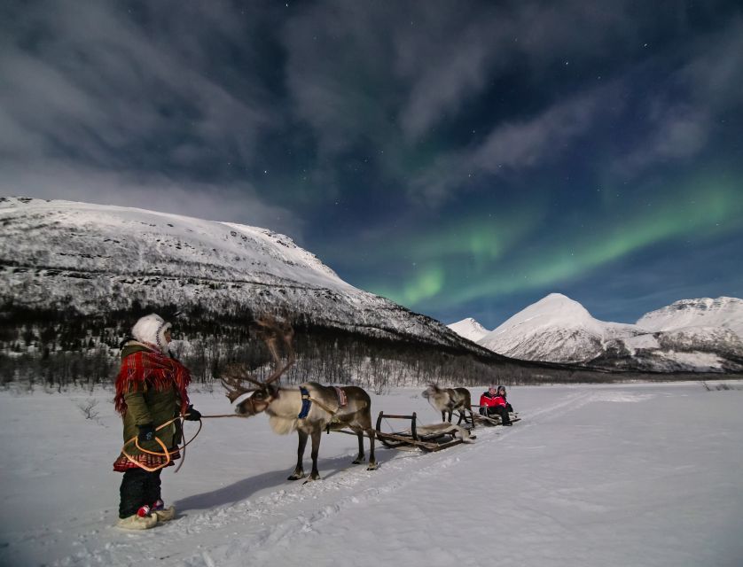 From Tromsø: Evening Reindeer Sledding at Camp Tamok - Key Highlights You Should Not Miss