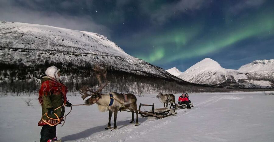 From Tromsø: Evening Reindeer Sledding at Camp Tamok - Arriving at Camp Tamok: Gear, Minibus Transfer, Then the Herd