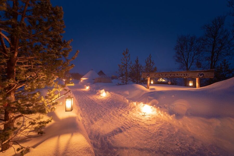 From Tromsø: Evening Reindeer Sledding at Camp Tamok - Price and Value: Is 242 USD Worth It?
